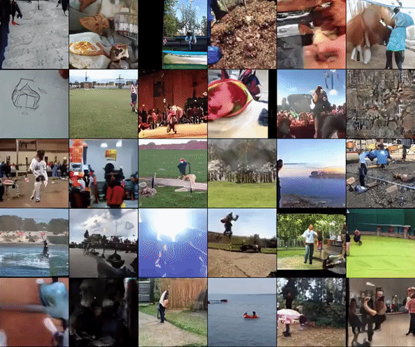 generated videos